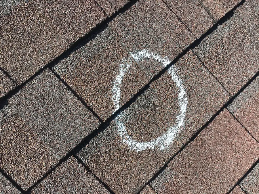 Single hail hit on an asphalt shingle circled in white chalk